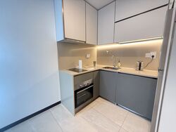Normanton Park (D5), Apartment #452602111